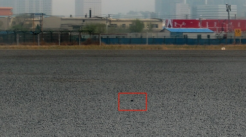 白天发现的FOD4 白天发现的FOD4