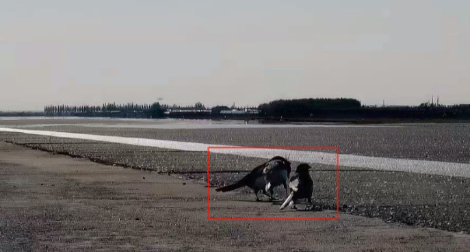 白天发现的FOD1 白天发现的FOD1