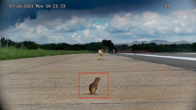 白天发现的FOD2 白天发现的FOD2